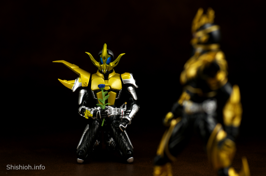 レビュー】バンダイ東映ヒーローネット限定 S.H.Figuarts仮面
